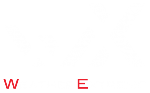 WeatherExtreme Logo