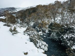 A snowy mountain river trail in Austrailia. Kosciuszko National Park, NSW