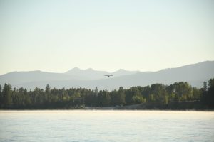 Plane flying over forest and lake with mountains in the background
