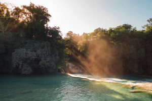 Tropical river viewed from the ground